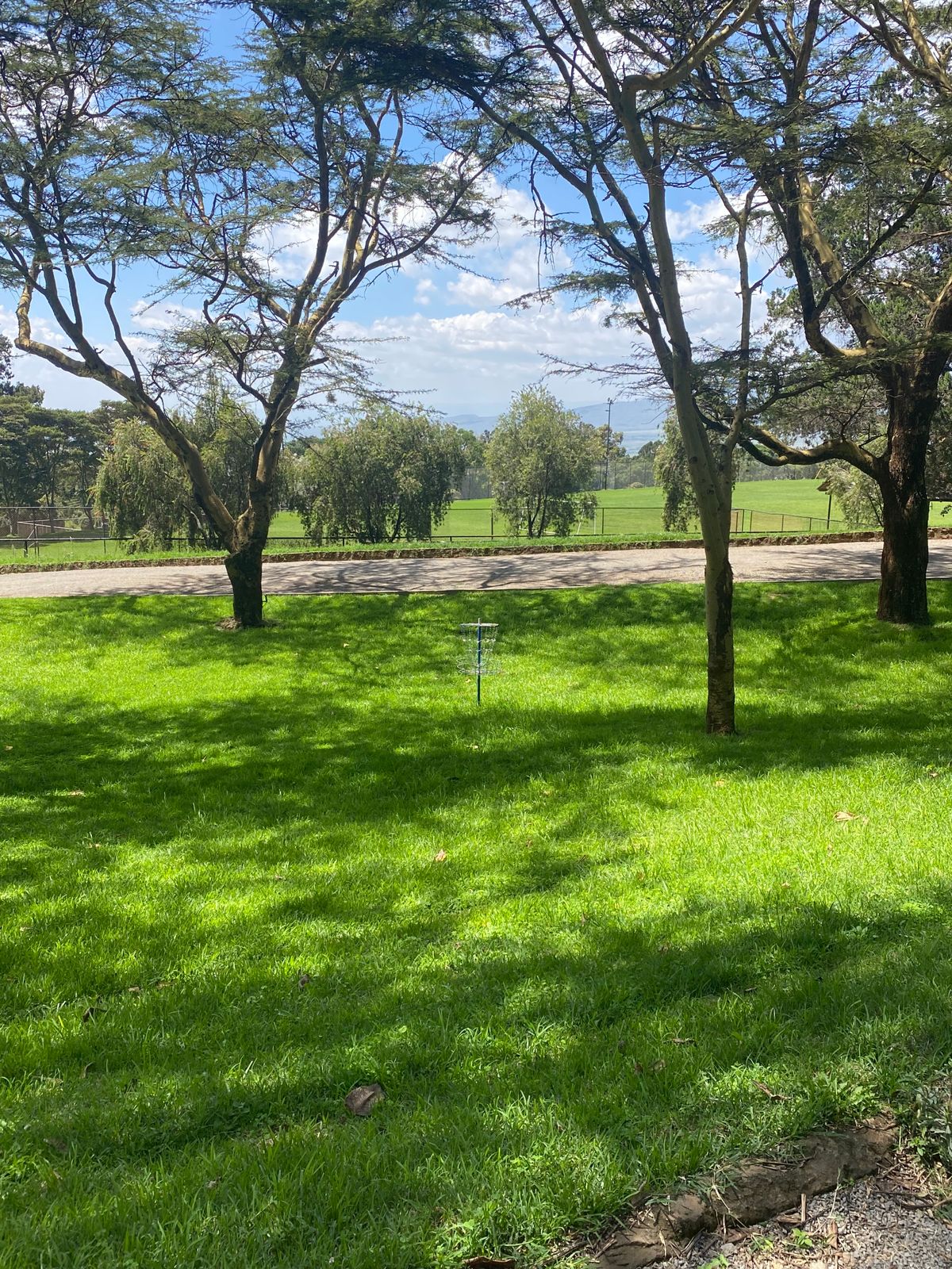 Target of hole 9