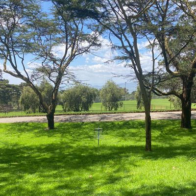 Target of hole 9