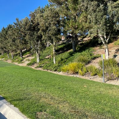 Ladera Ranch Executive - Mission Viejo, CA | UDisc Disc Golf Course  Directory | UDisc
