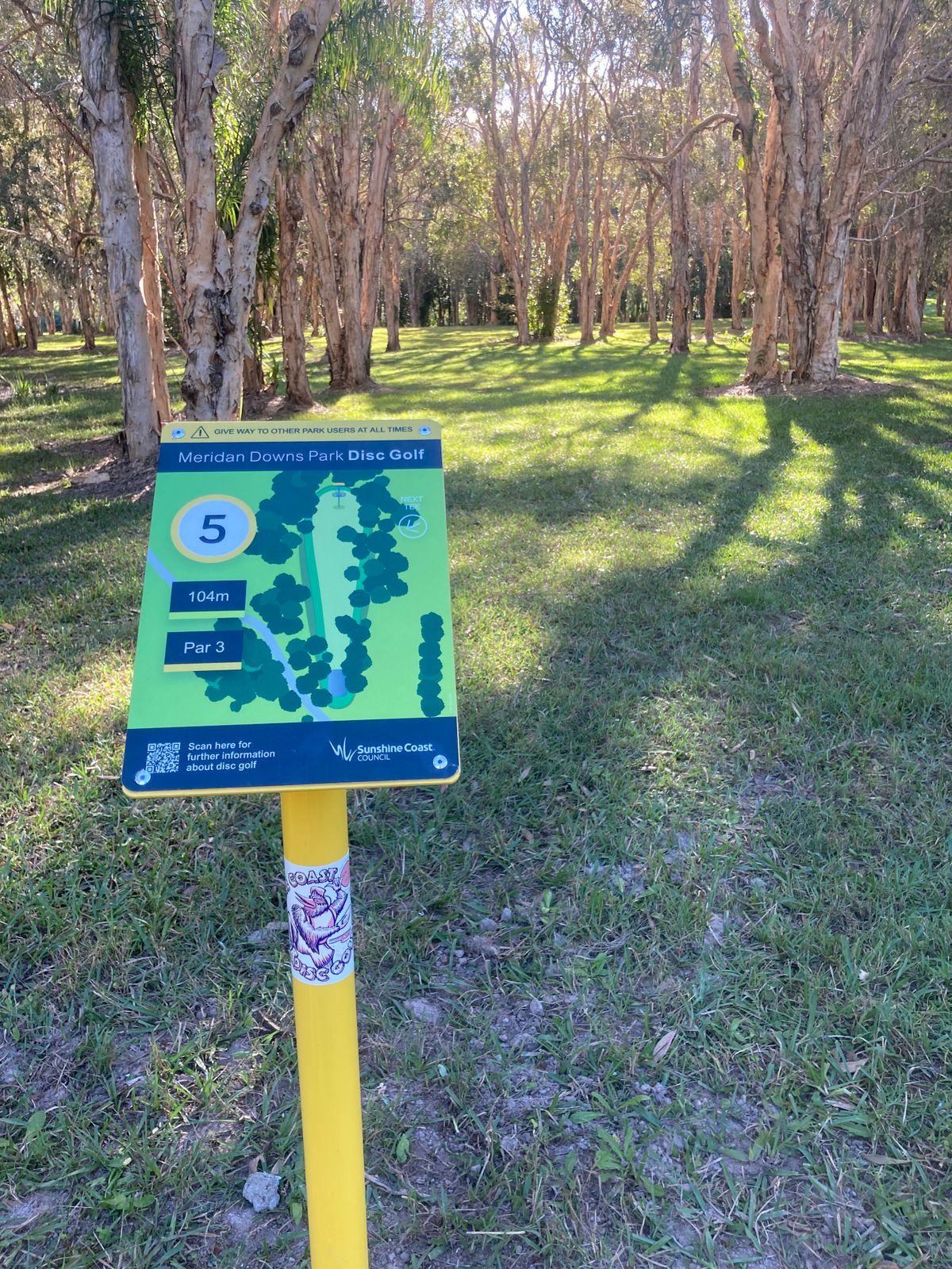 Tee 5