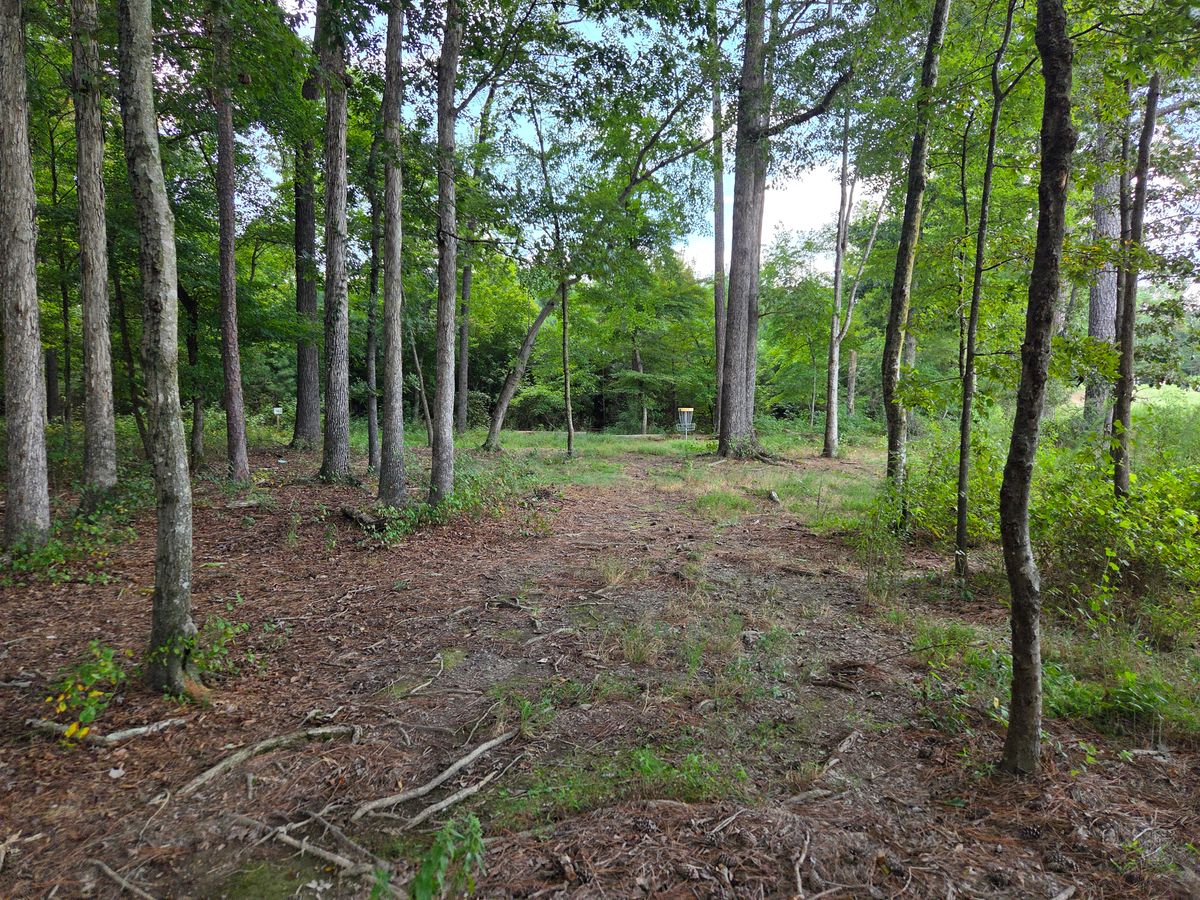 Hole 3 from the tee