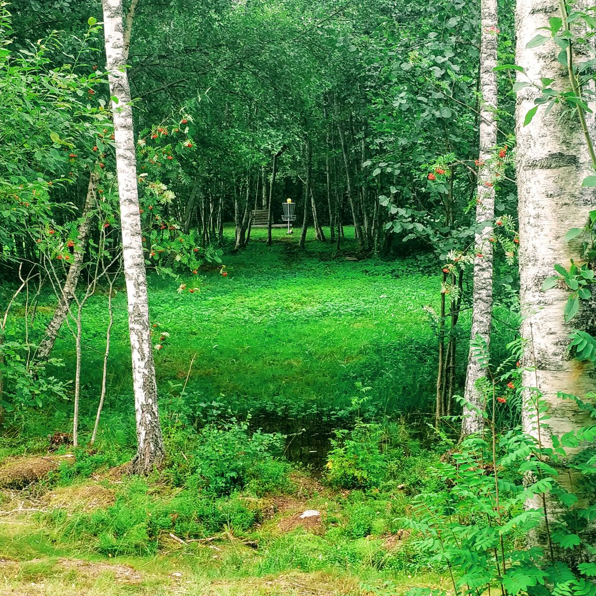 Hål 8 (nyckelhålet)