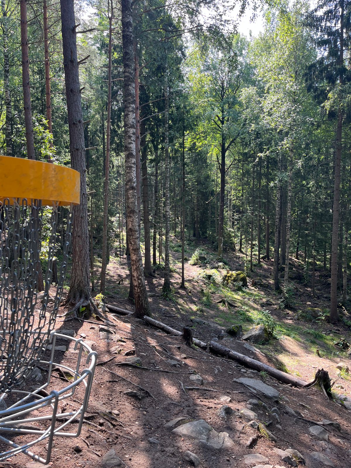 Hole 16, basket to tee