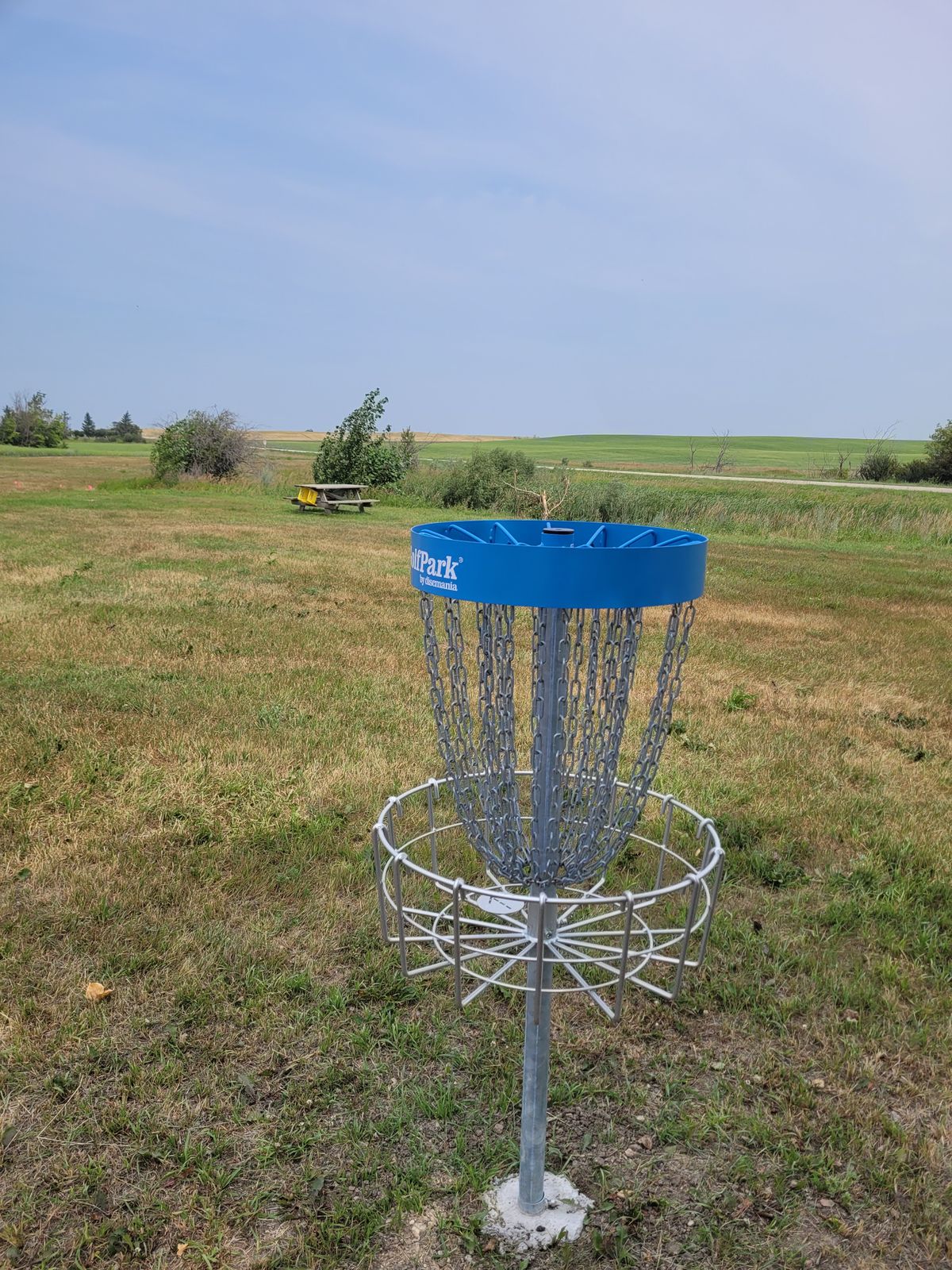 Basket #9