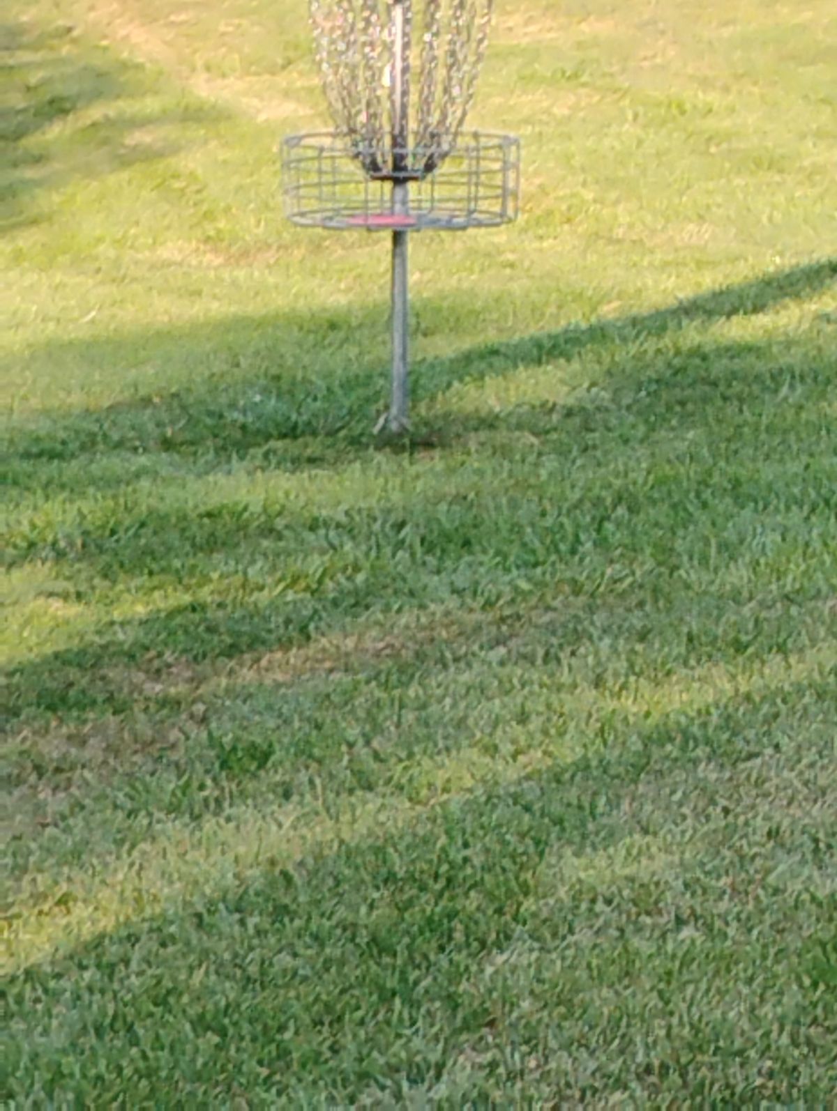 Made it home 8 basket