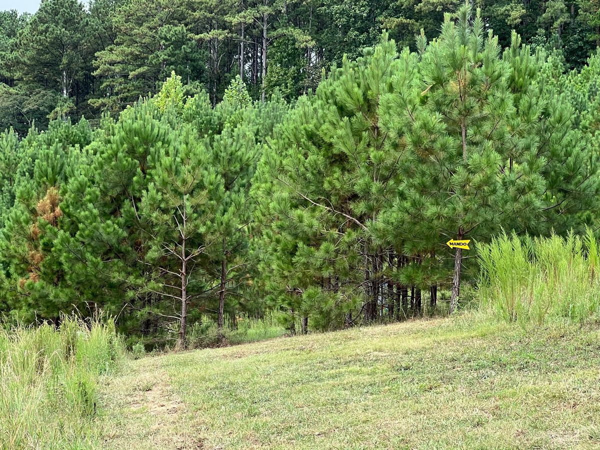 Hole 13 Fairway