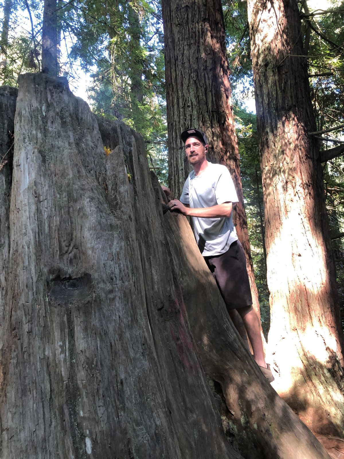 Hole 2’s Tee pad is on top of this stump- super cool but hard for some people to get up and down
