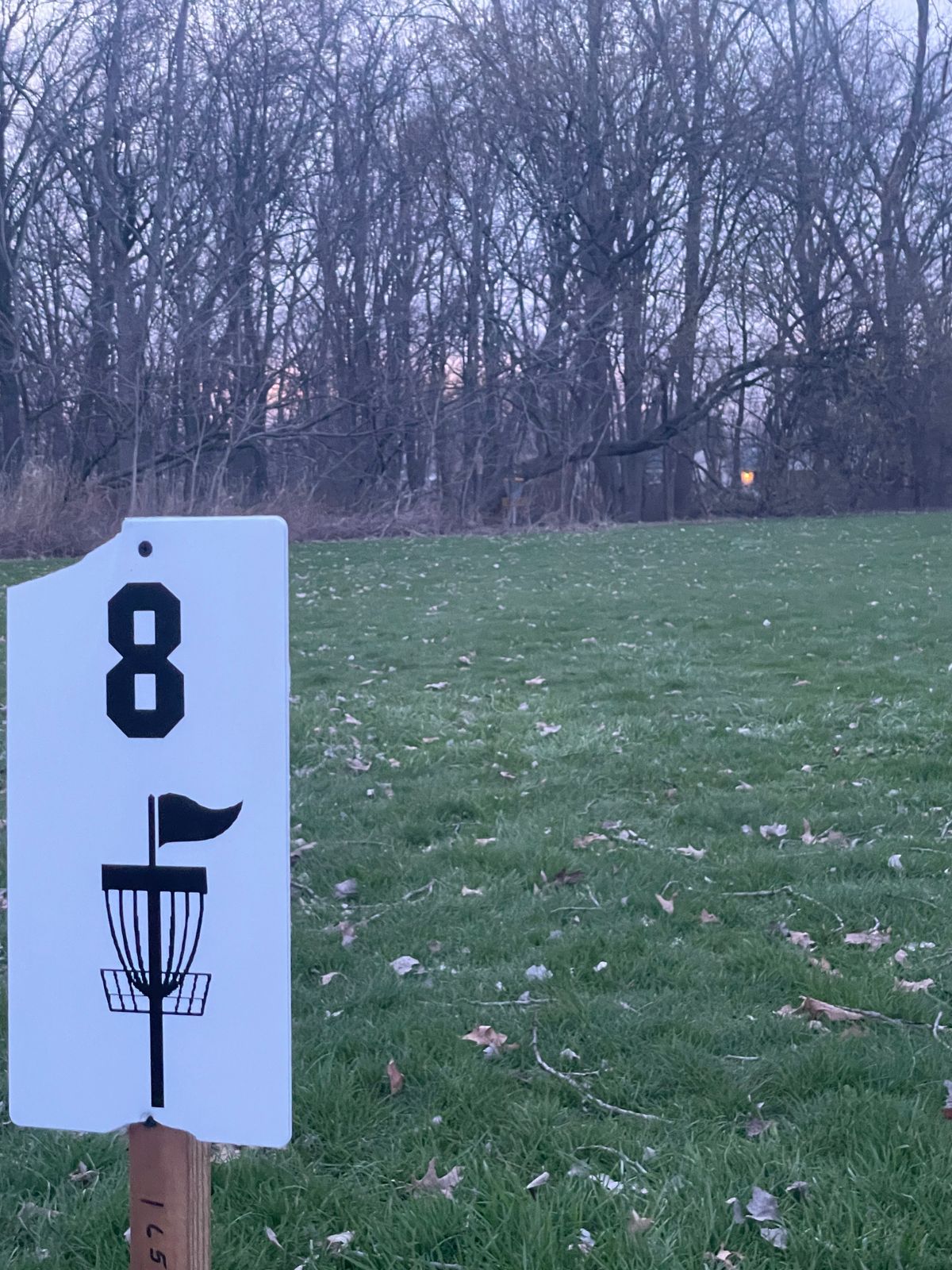 Hole 8 , basket is tucked into the woods . There is a small creek about 20ft long to the left.