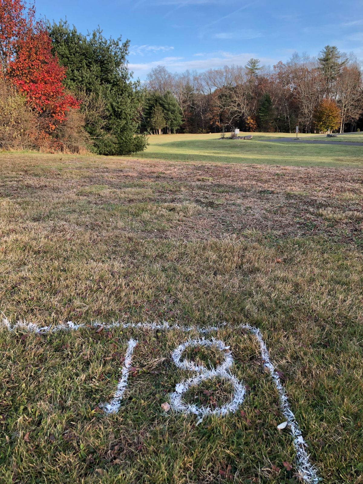 We marked and mowed tee pads, fairways, and greens, and added markers on the baskets.