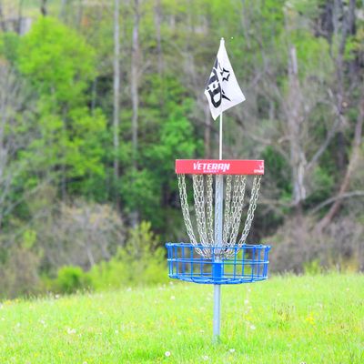 Basket for Hole #7