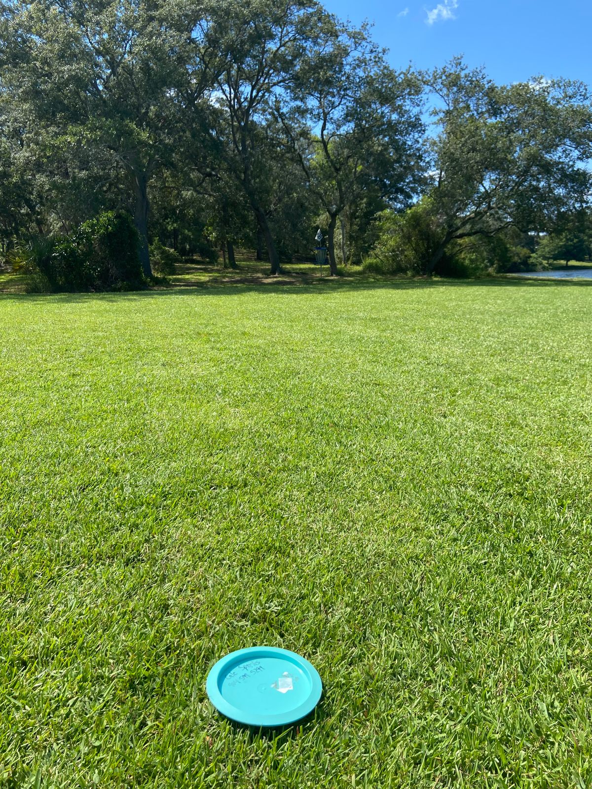 Hole 6. Just after landing over the water.