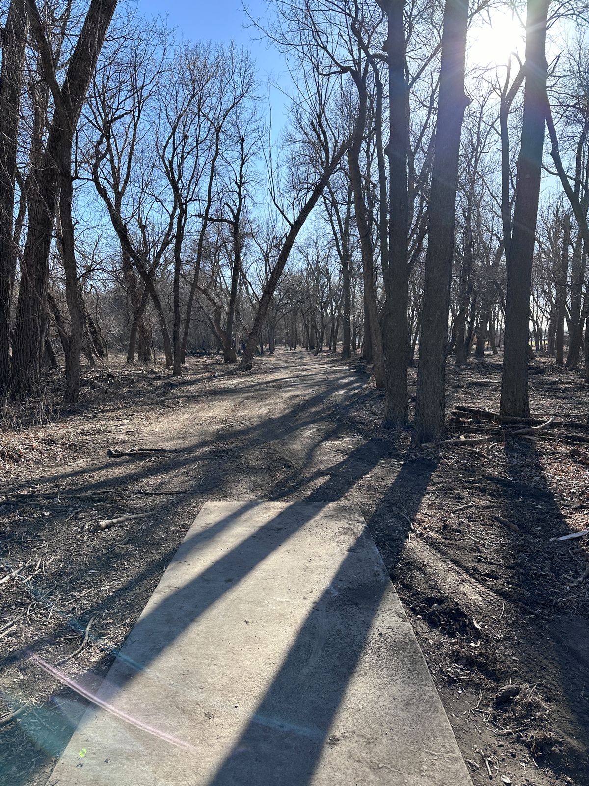 Hole 7