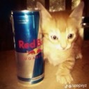 User avatar image