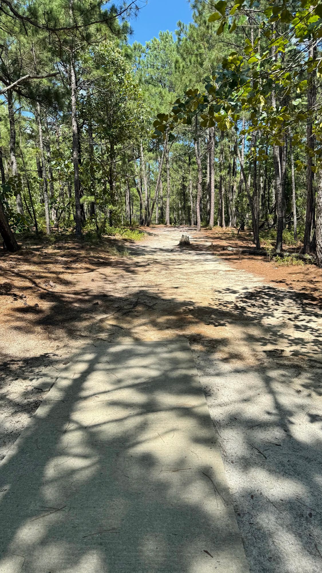 Hole 5 Tee Pad