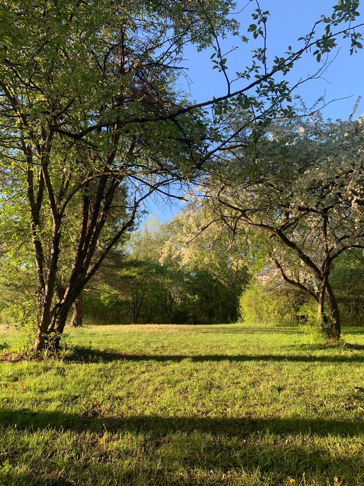 Hole 3
