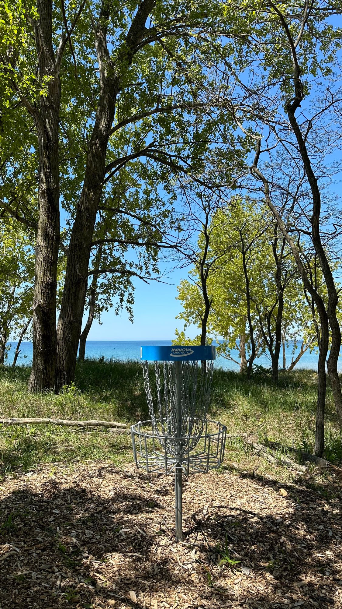 Hole 10 basket with Lake Michigan in the background