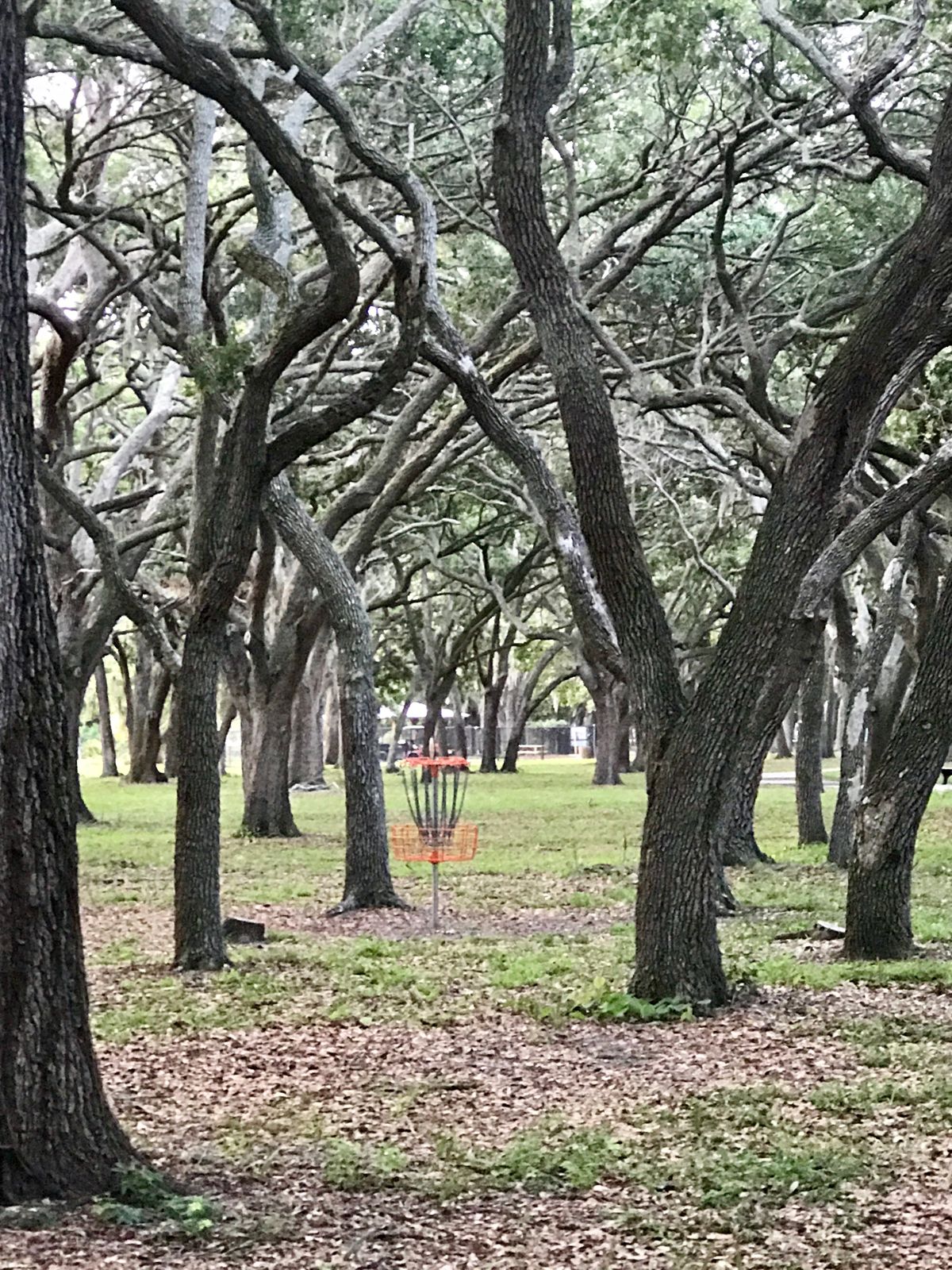 Hole 4