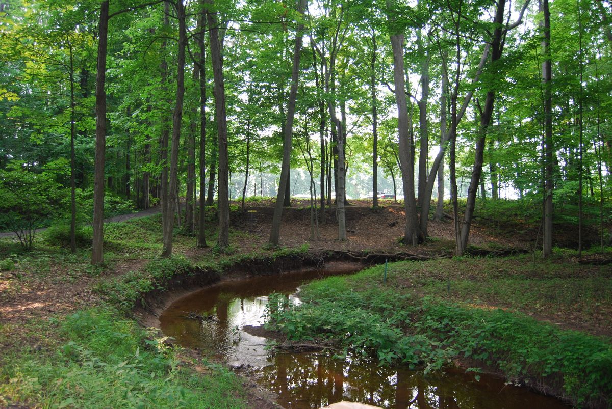 Hole 18 View of green area on hole 18