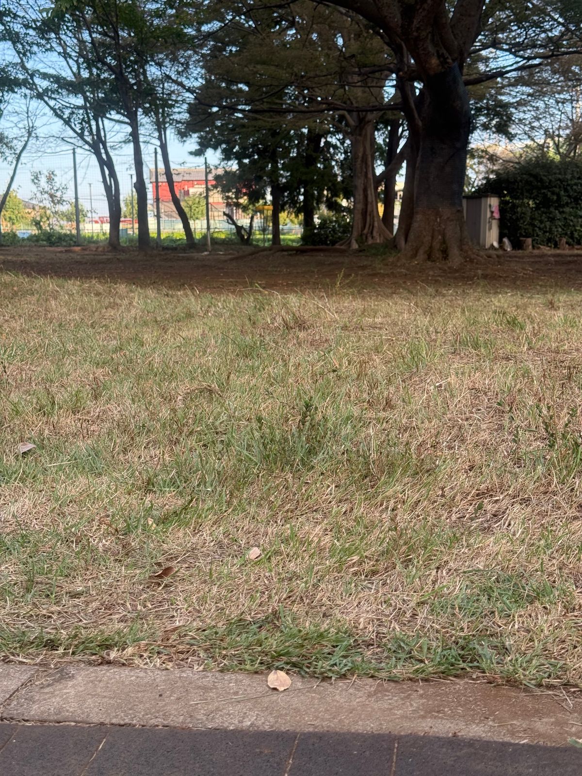 Hole #3