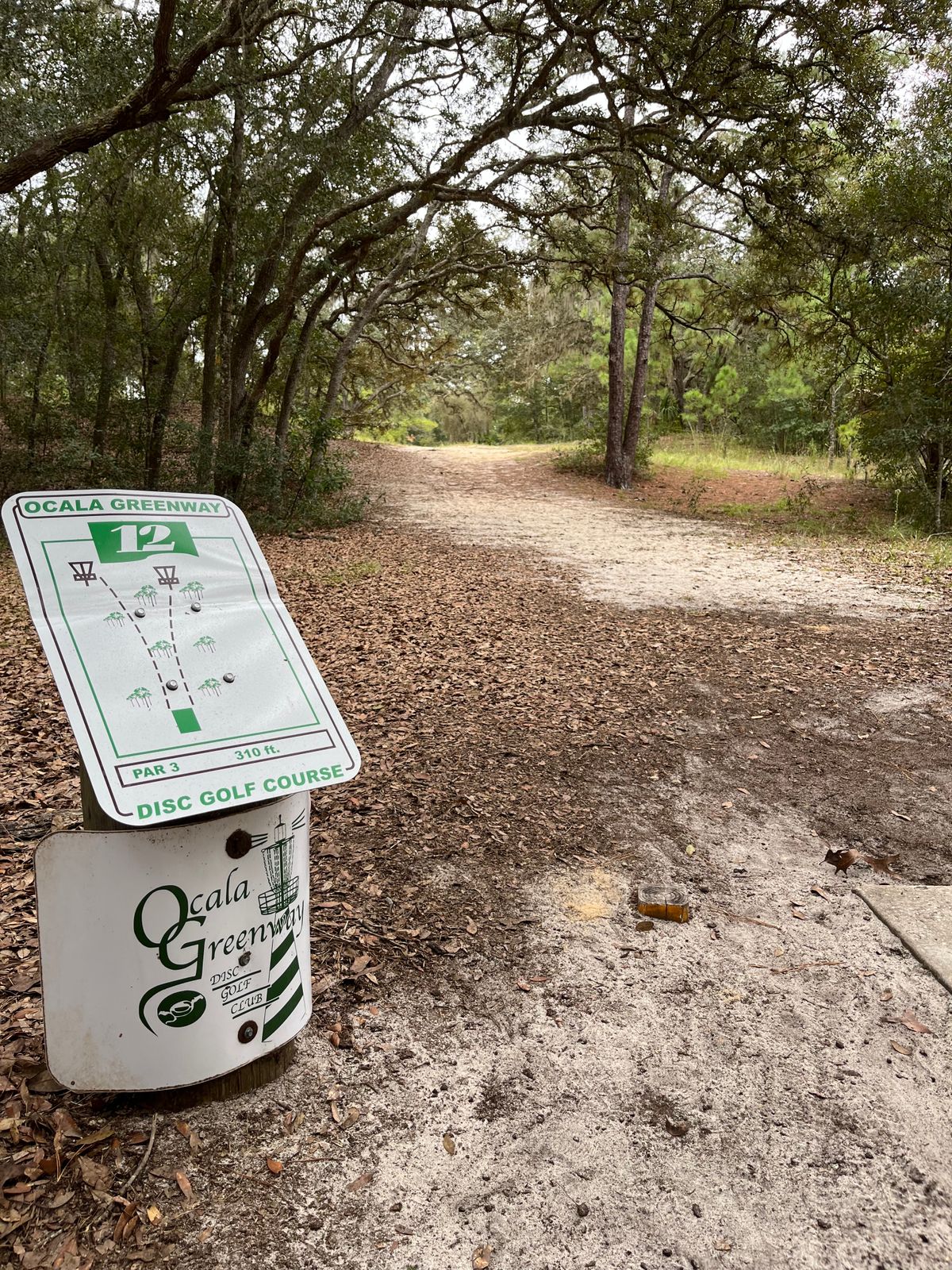 #12 Tee (only pad)