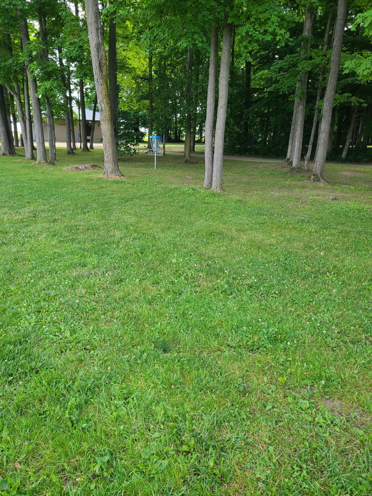 Hole #4