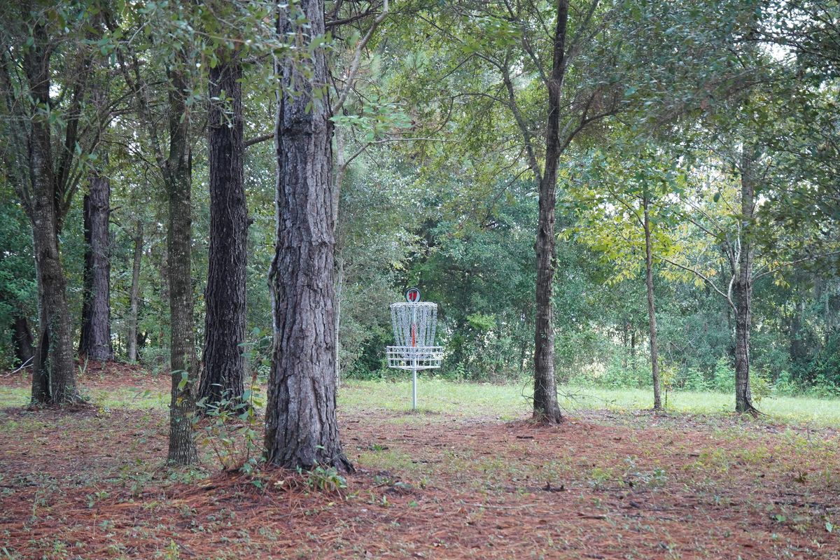 Hole 11’s basket