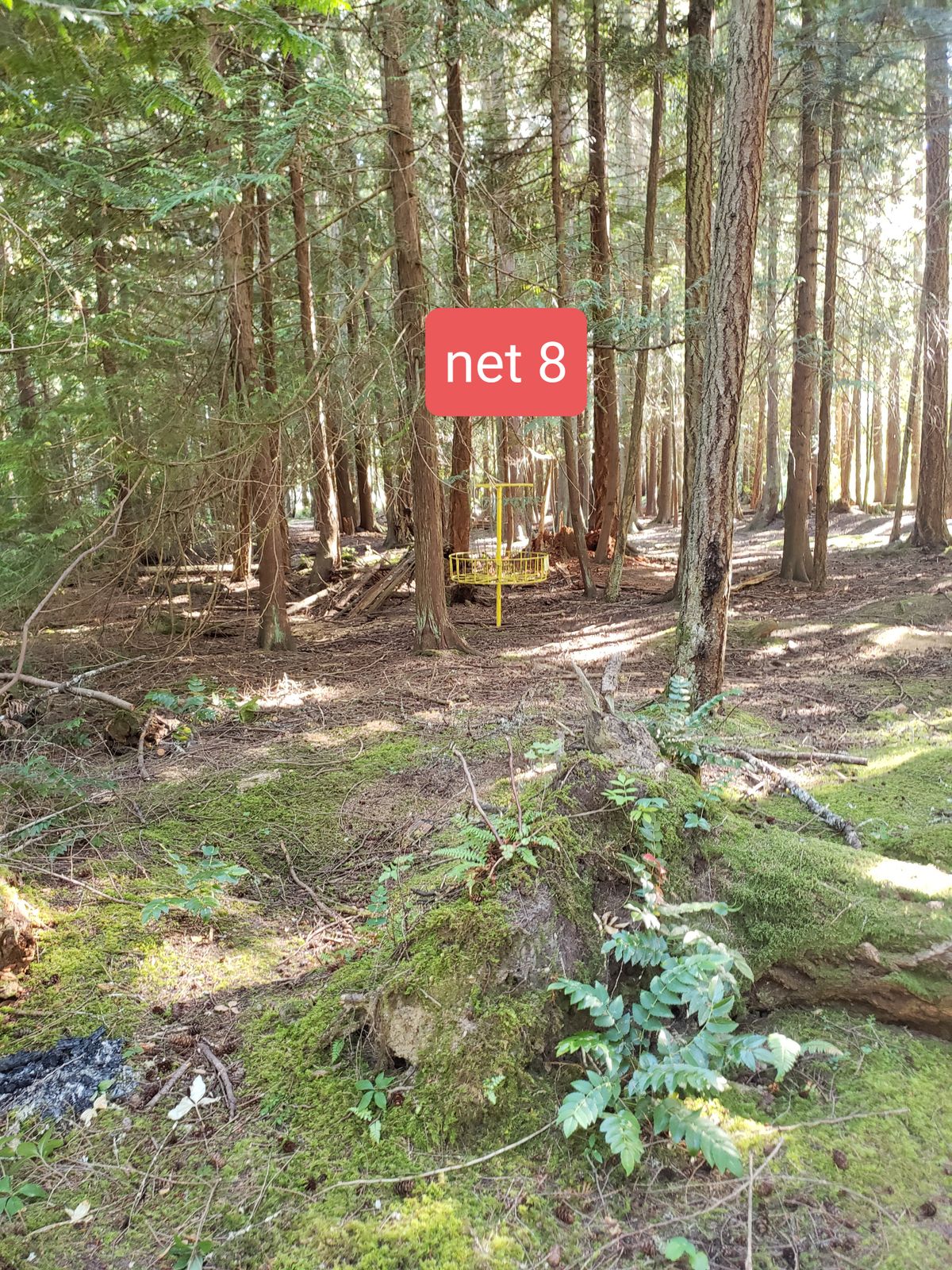 Net 8