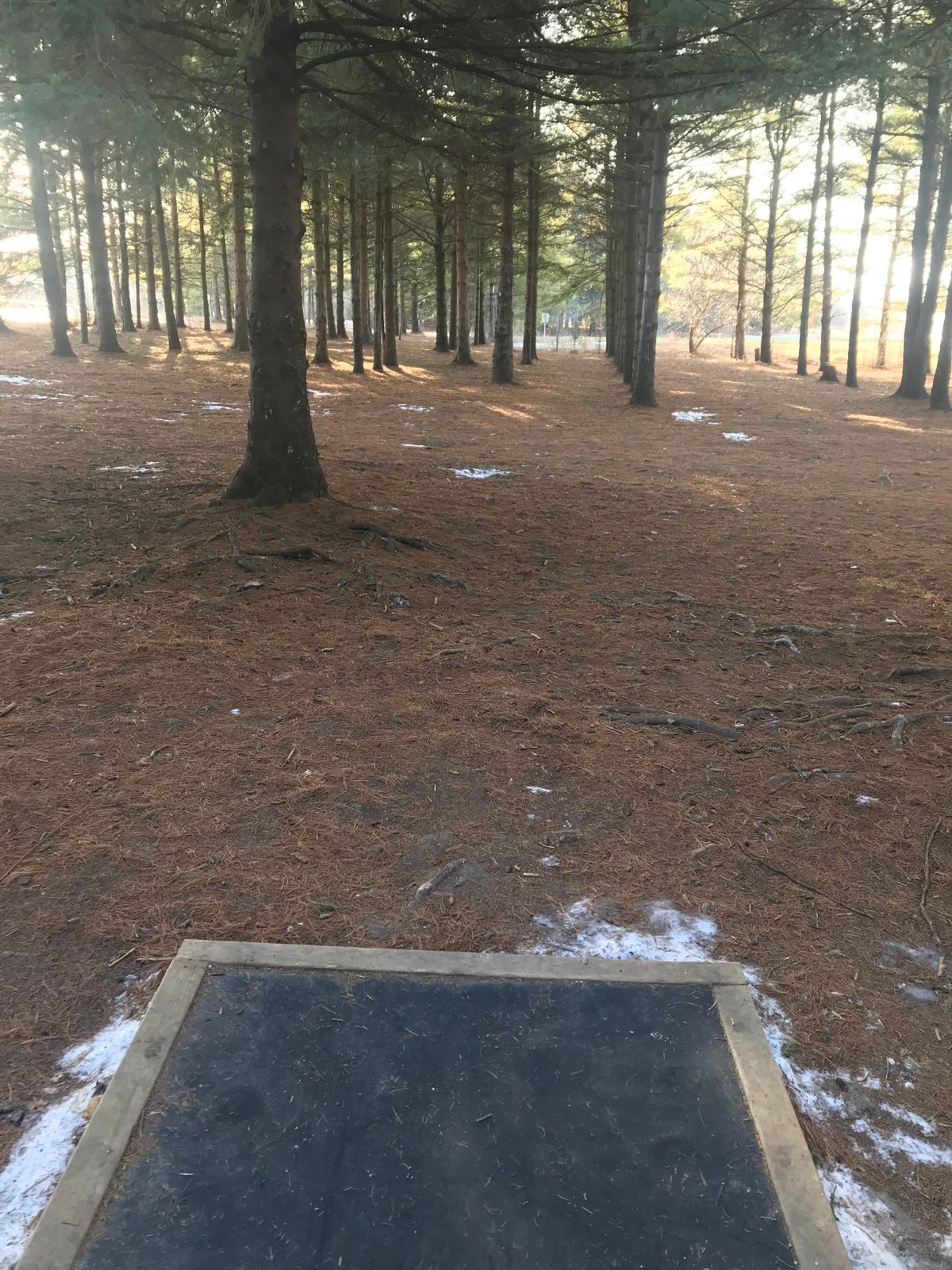 Hole 1 short tee