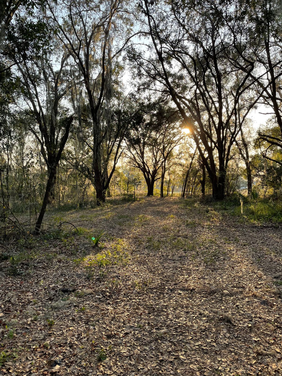 Hole 2