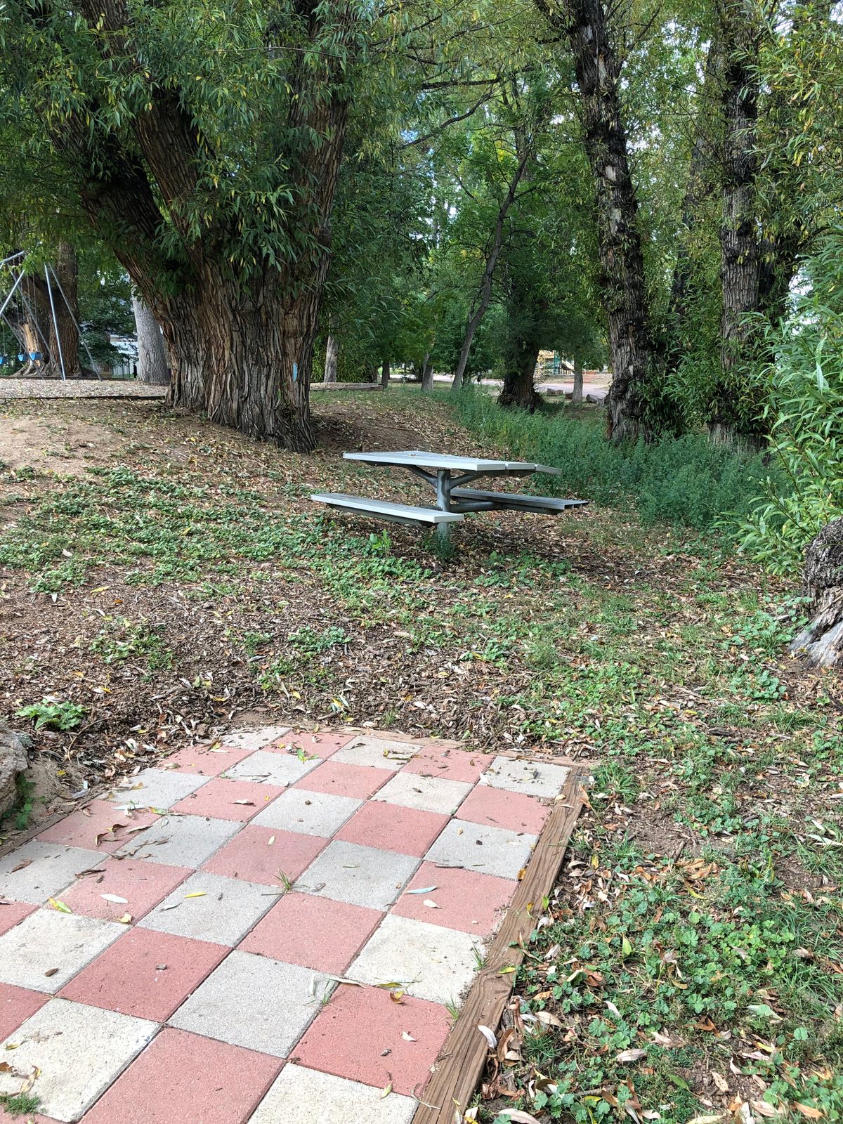 Hole 4 tee - you throw over a picnic table.