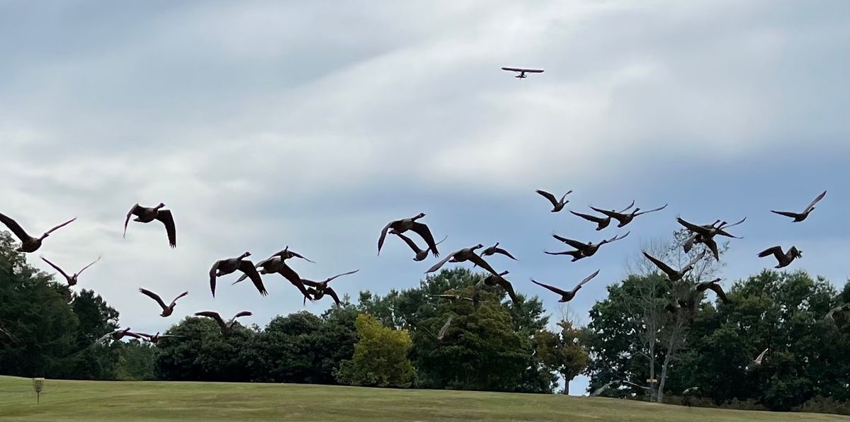 In this shot, you can see the 18th basket, geese, and a plane come over the hill.