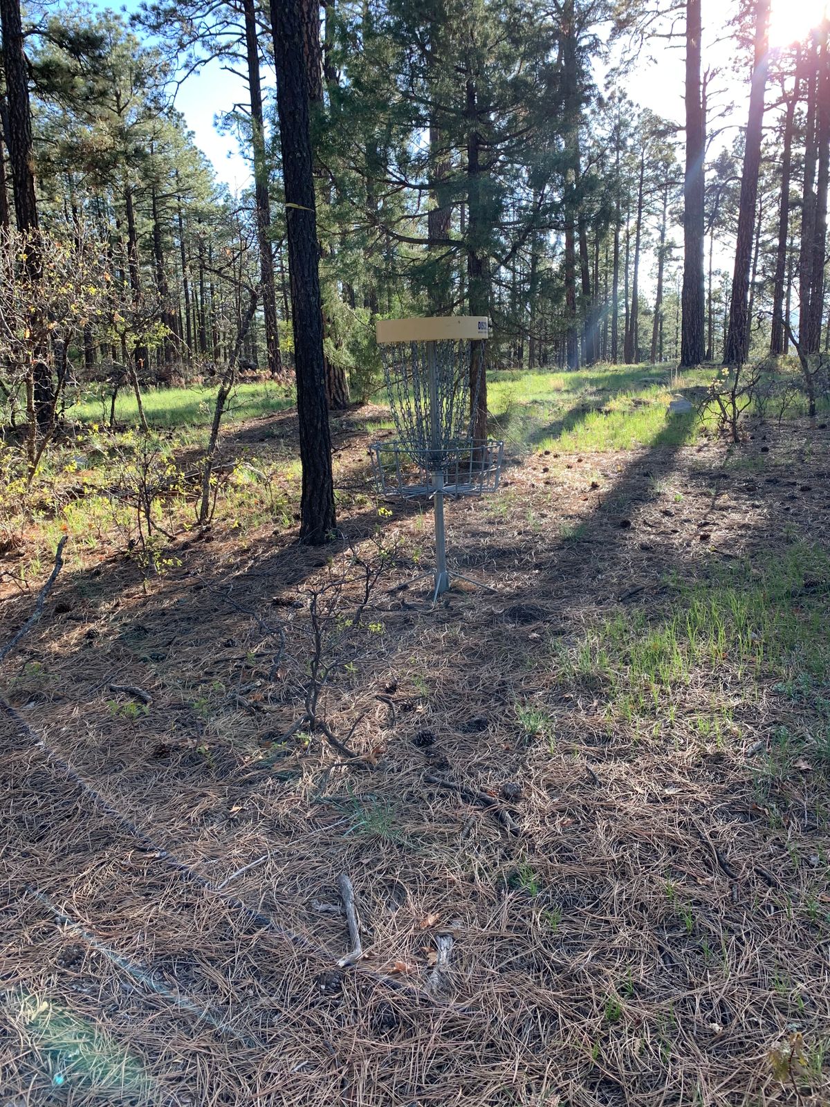 Hole 15