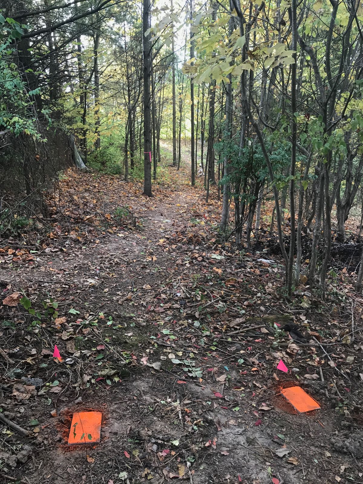 Hole 6 is a tough MF