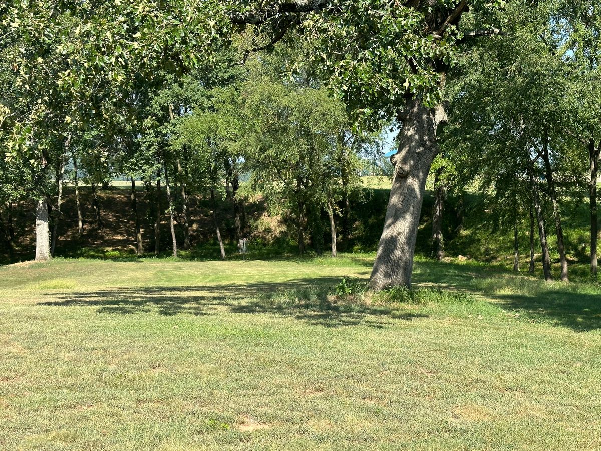 Hole 5 Basket with Creek behind it Mulberry Arkansas Disc Golf Course