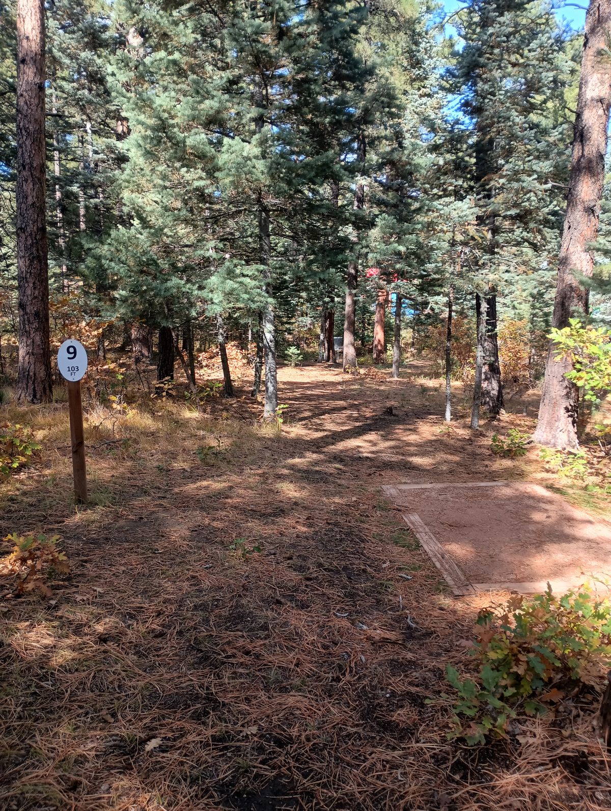 Hole 9 Tee