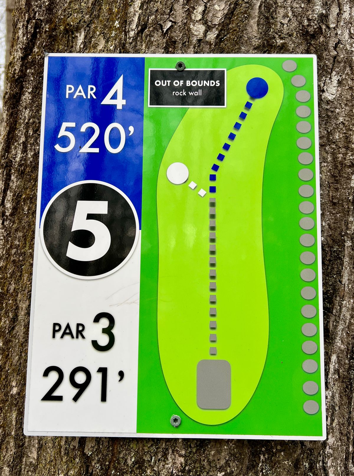 Hole #5