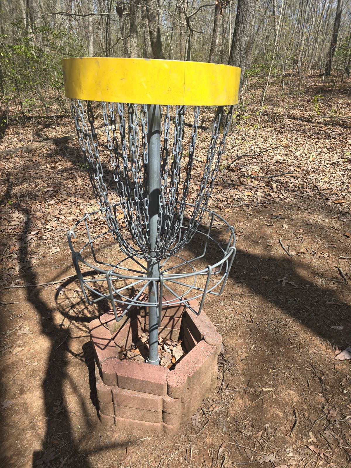 Hole 8 Basket