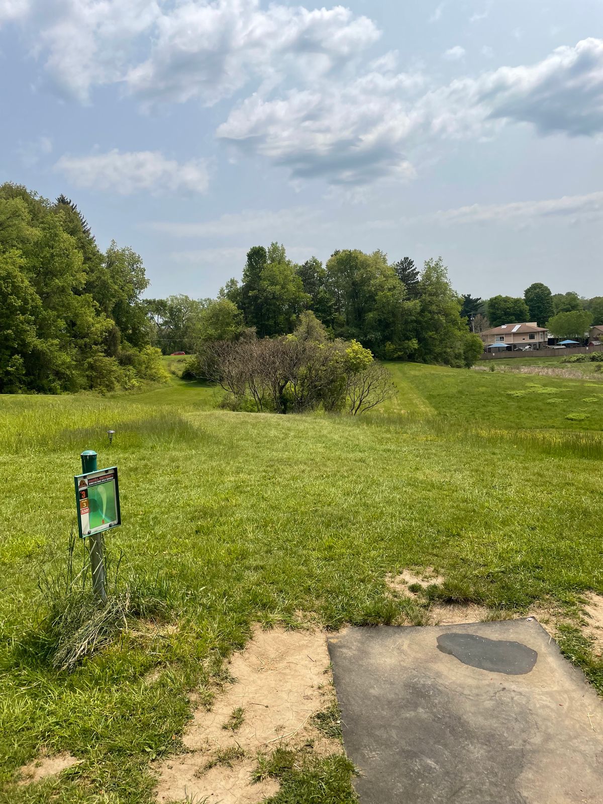 Hole 3, tee