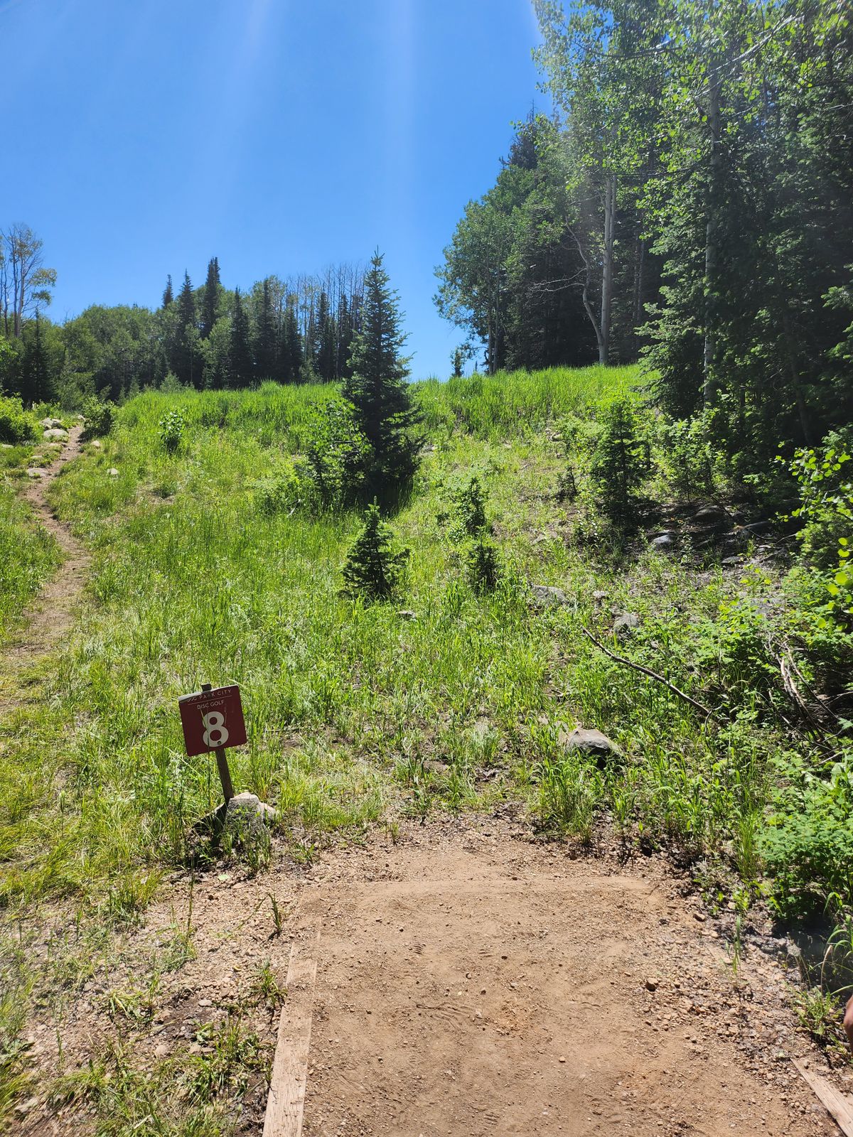 Old Hole 8