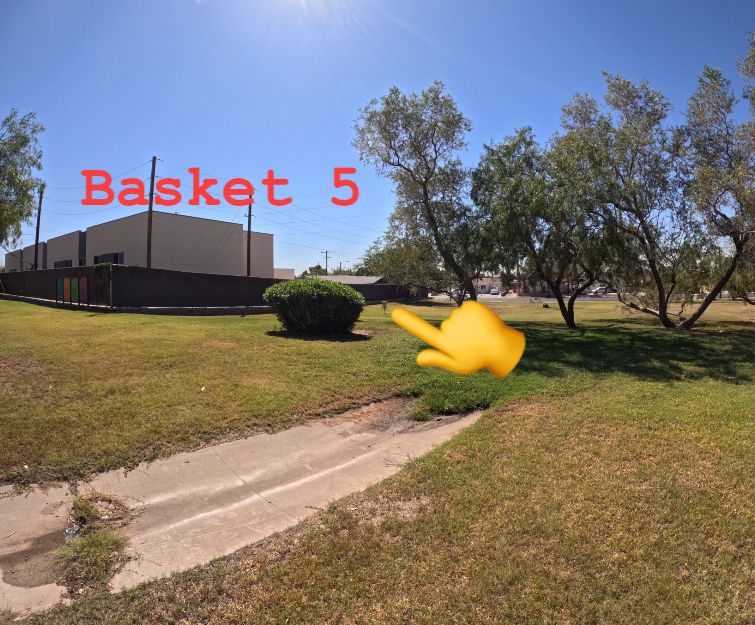 Basket 5