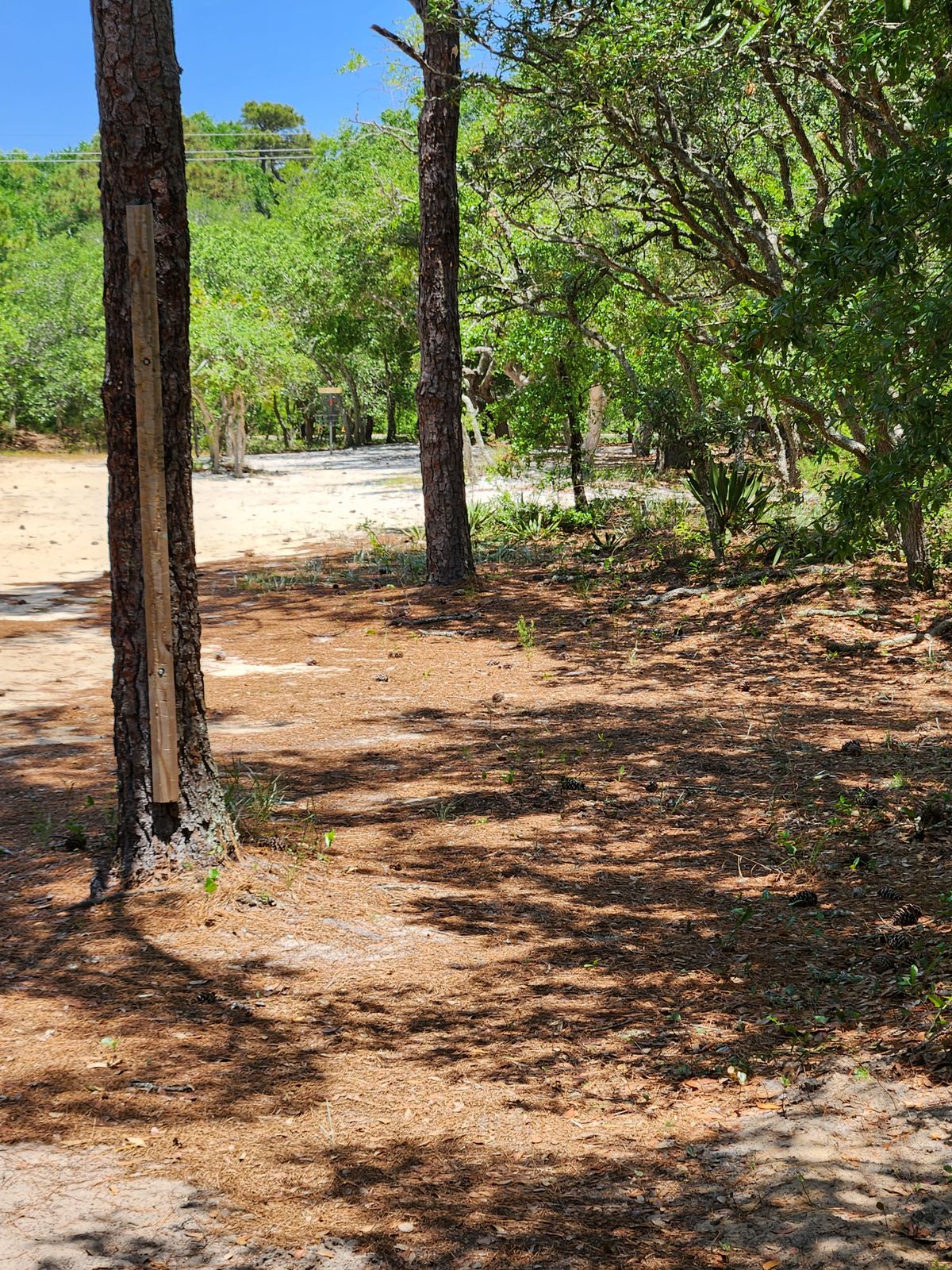Hole 17 basket from tee pad