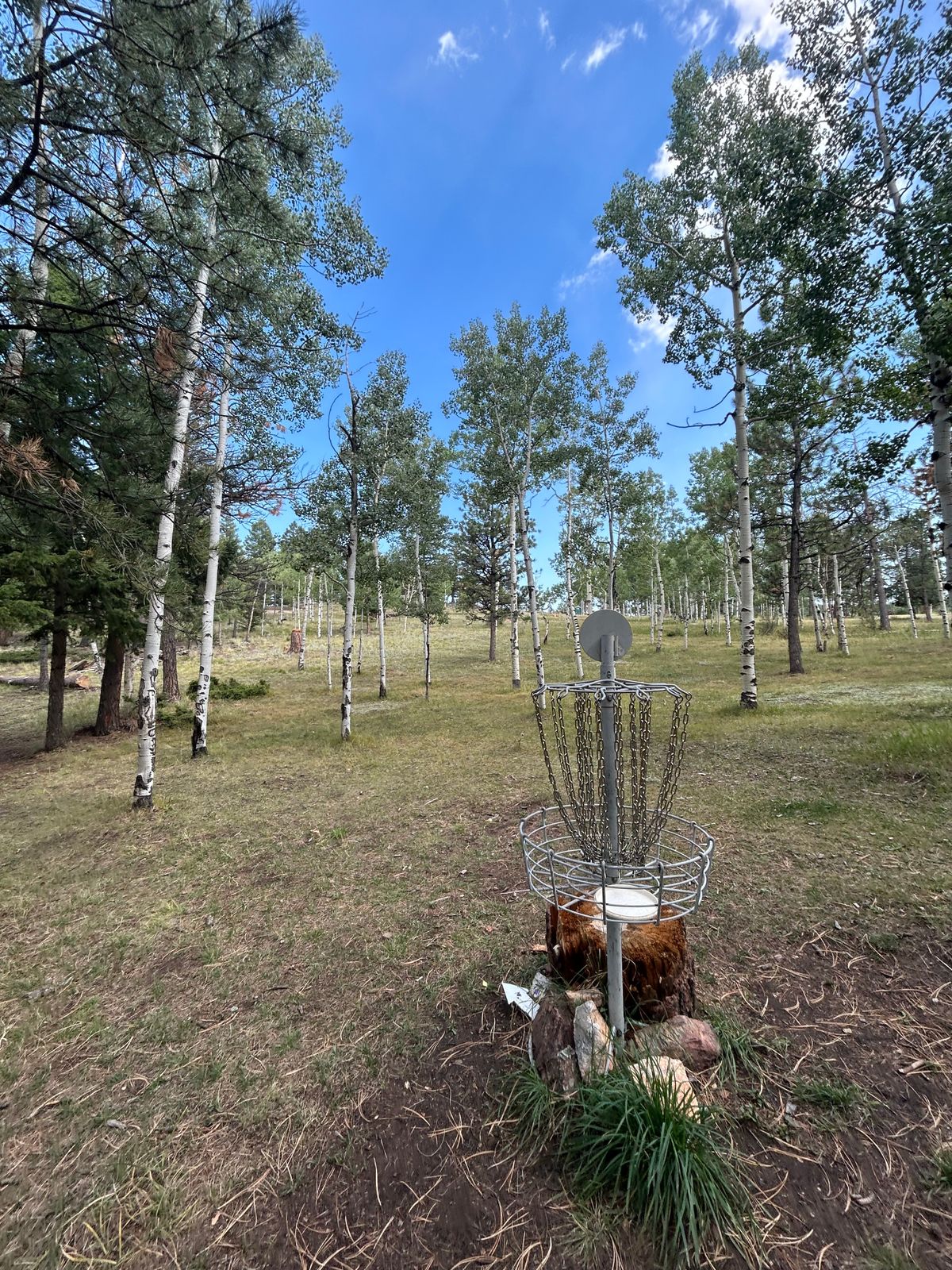 Hole 1 looking back towards tee area
