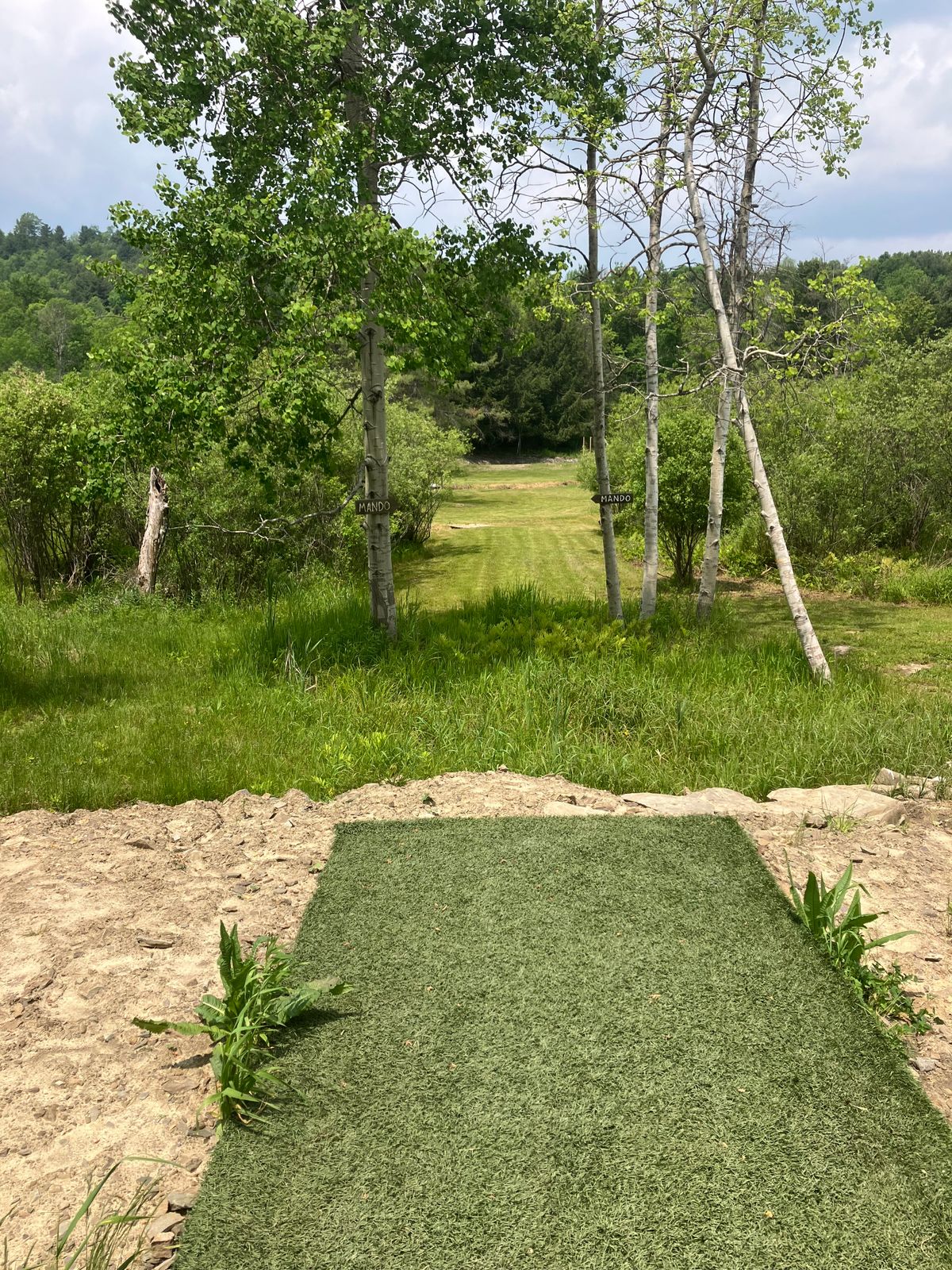 Hole 11 teeshot