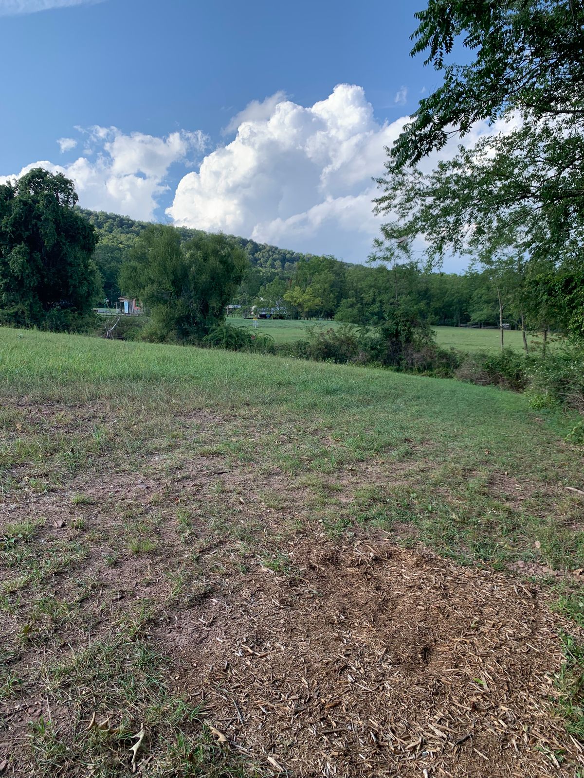 Hole 8 tee box.