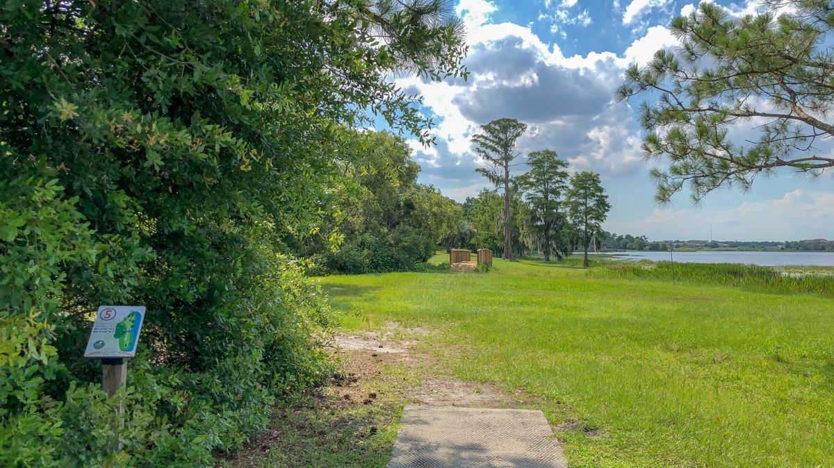 Hole 5
