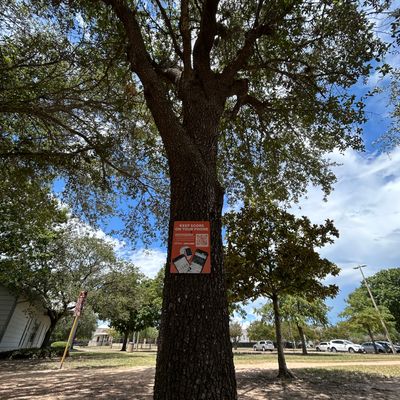 U disc sign