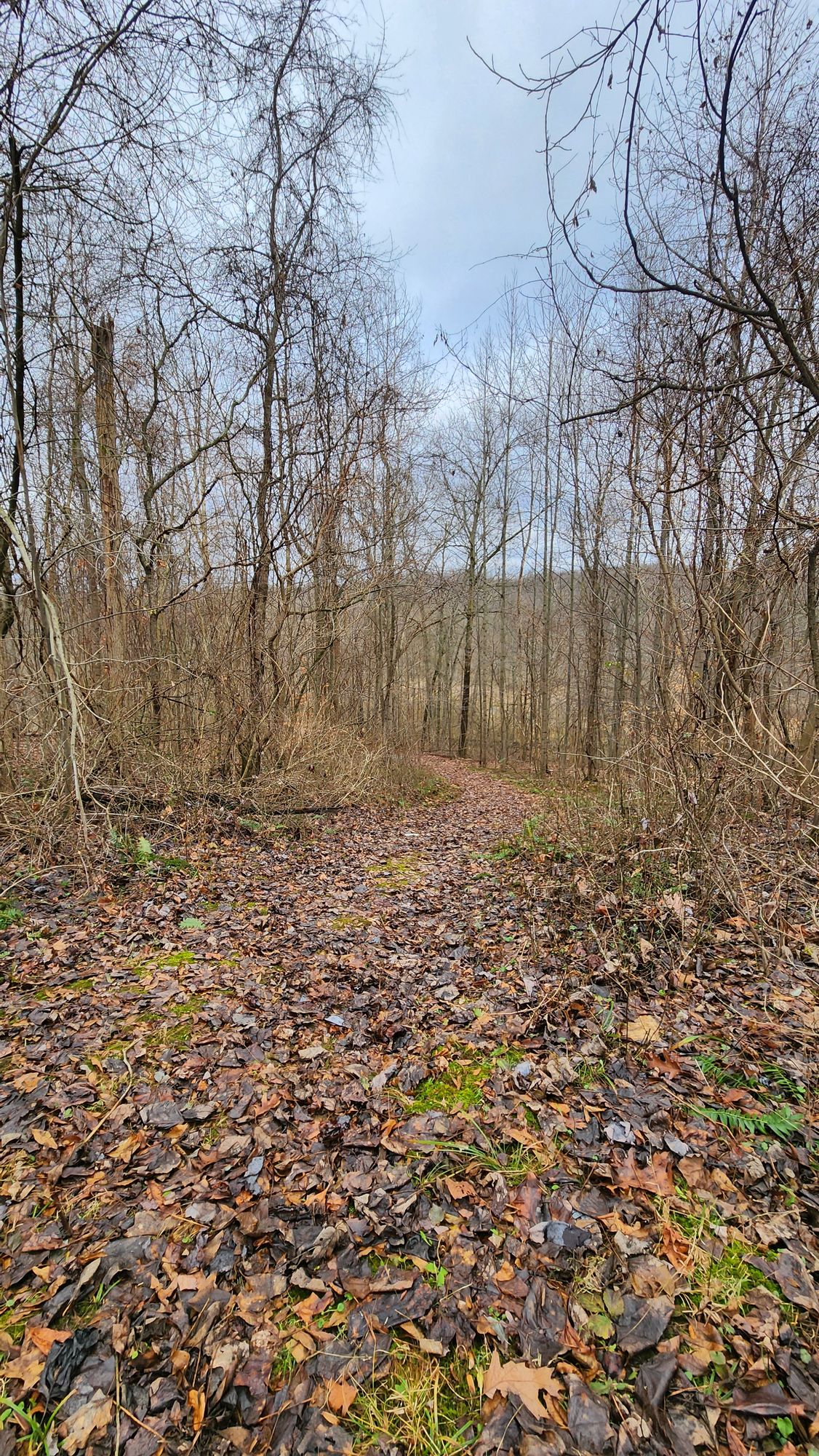 14 fairway looking back at Tee (and I thought hole 5 had elevation!)