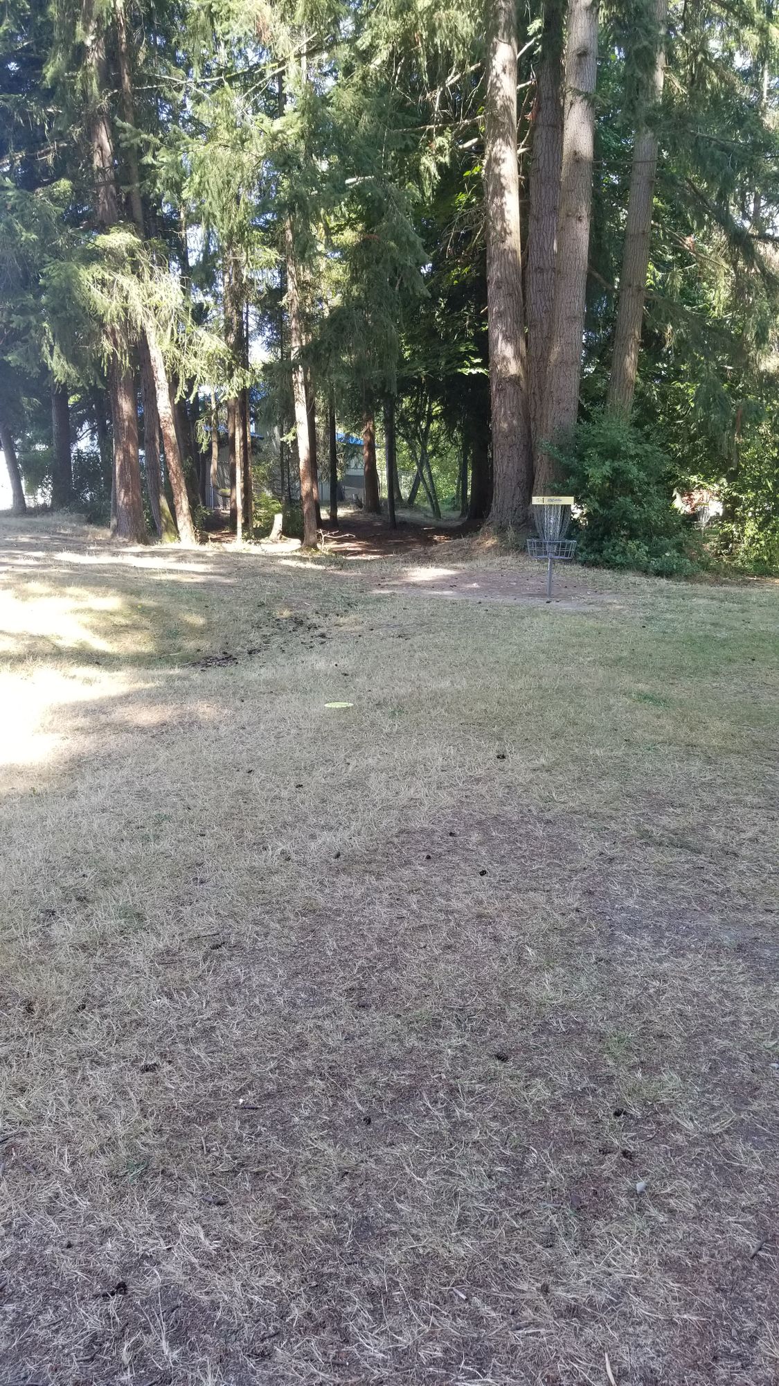 Fairway to basket hole 1