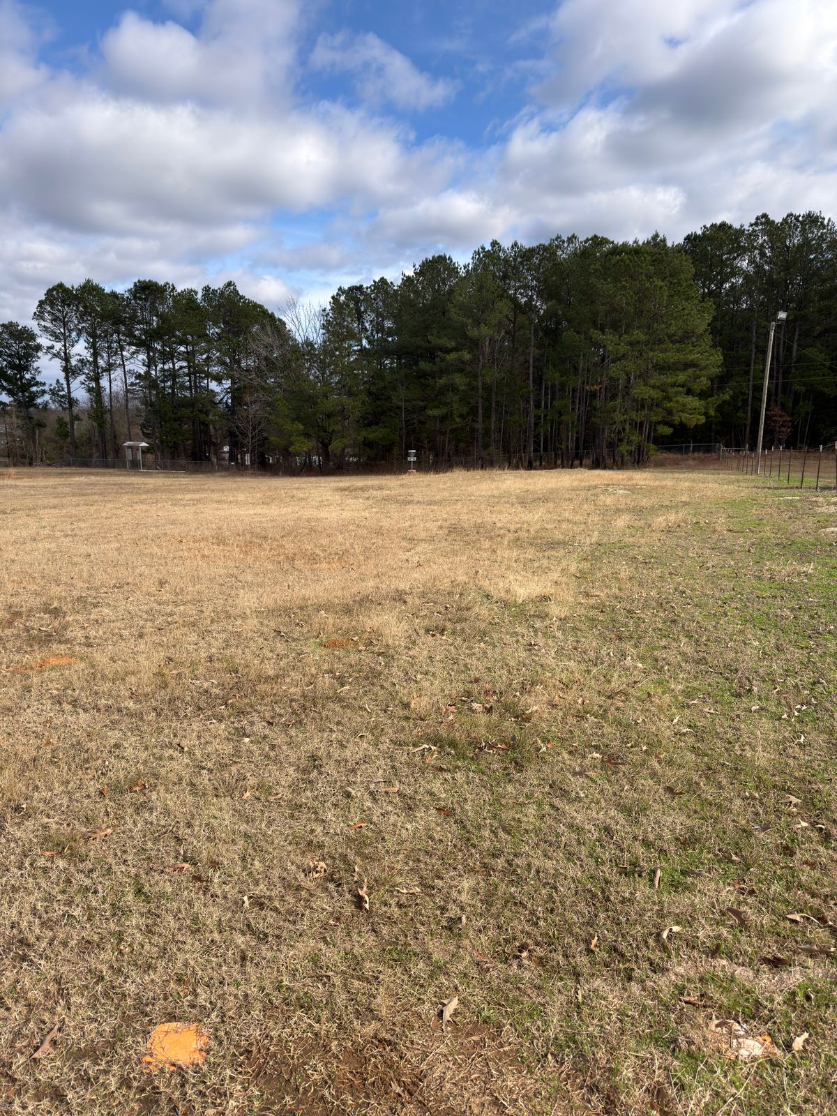 Hole 9, elevated basket straight ahead