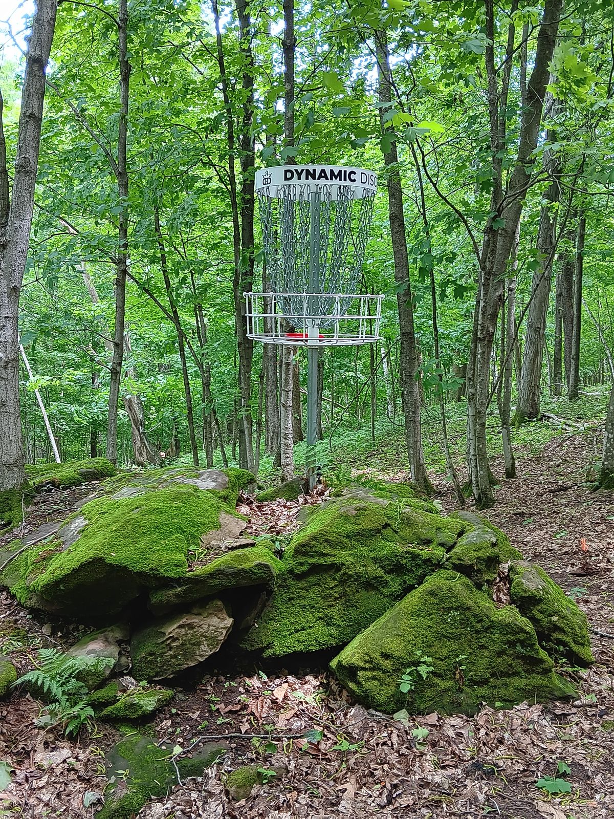 10s basket